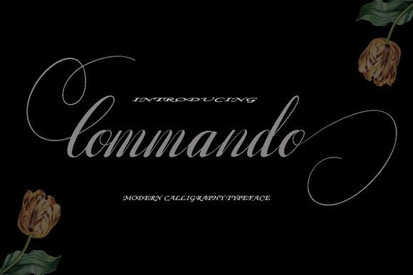 Commando Font Poster 1