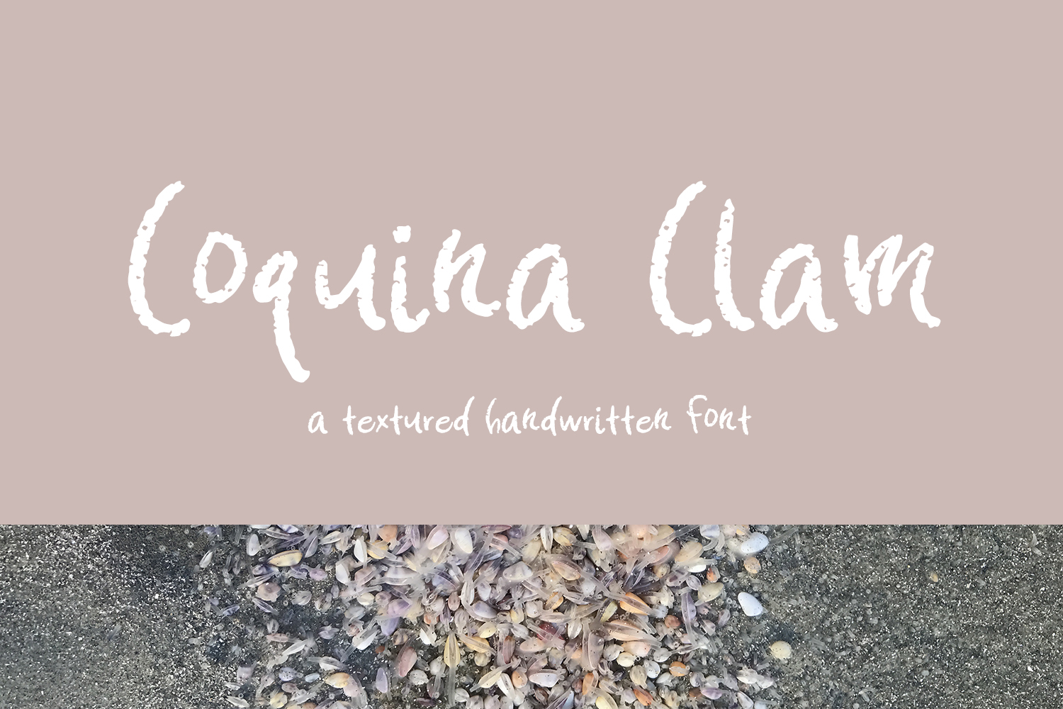 Coquina Clam Font