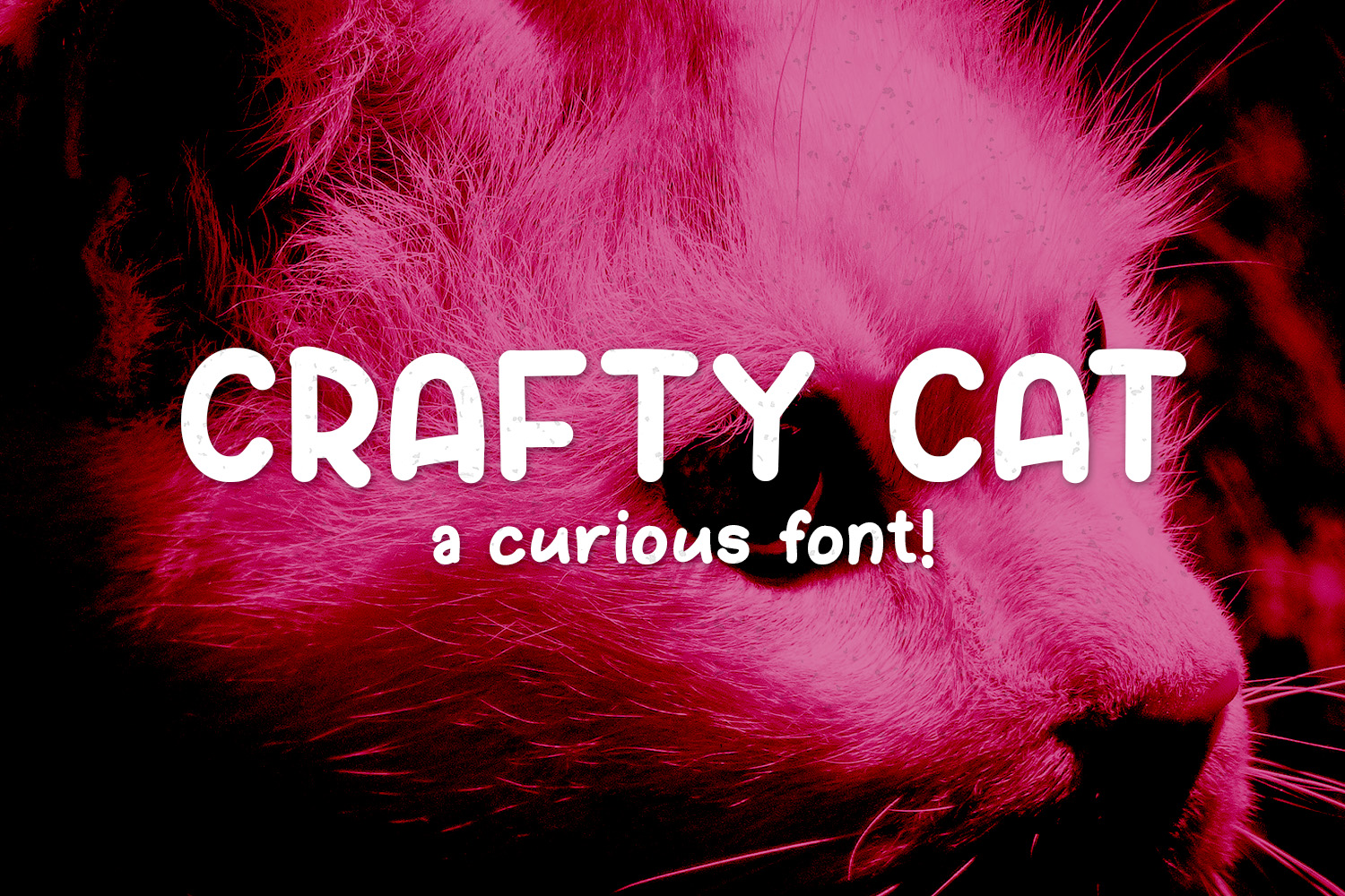 Crafty Cat Font Poster 1