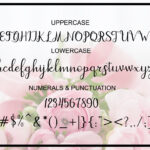 Dahlia Script Font Poster 8