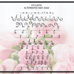 Dahlia Script Font Poster 9