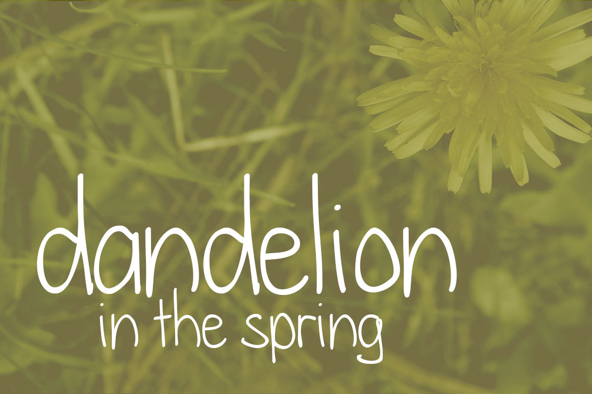 Dandelion in the Spring Font Poster 1