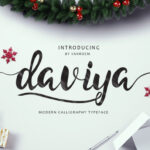 Daviya Font Poster 1