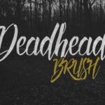 Deadhead Brush Font Poster 1