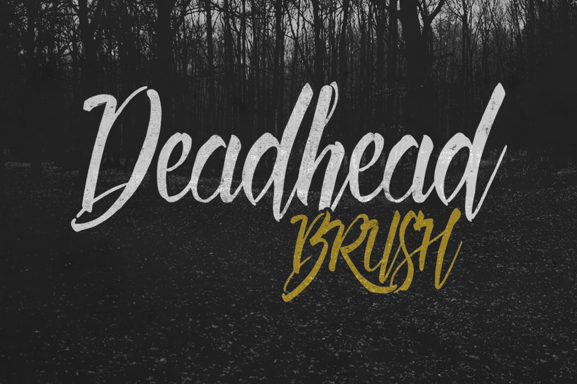 Deadhead Brush Font Poster 1