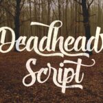 Deadhead Script Font Poster 1