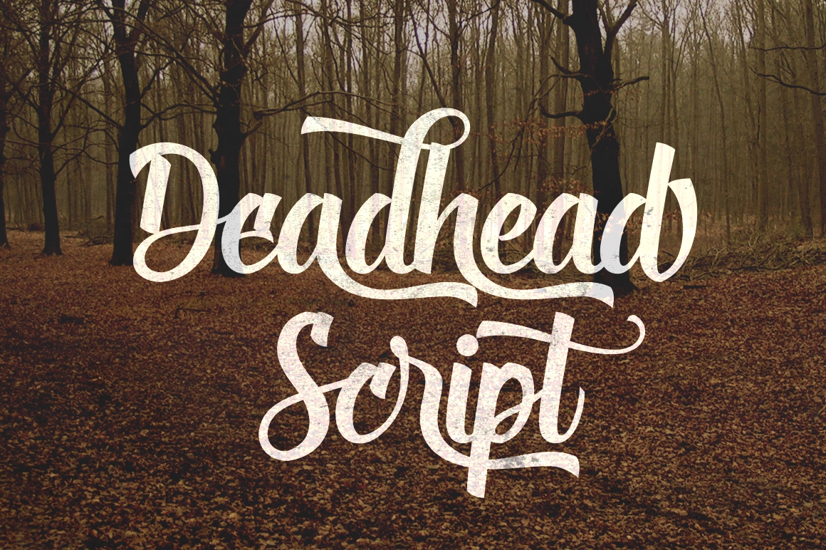 Deadhead Script Font Poster 1