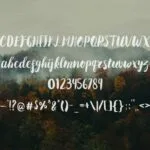 Delayota Font Poster 9