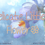 Delicate Little Flower Font Poster 1