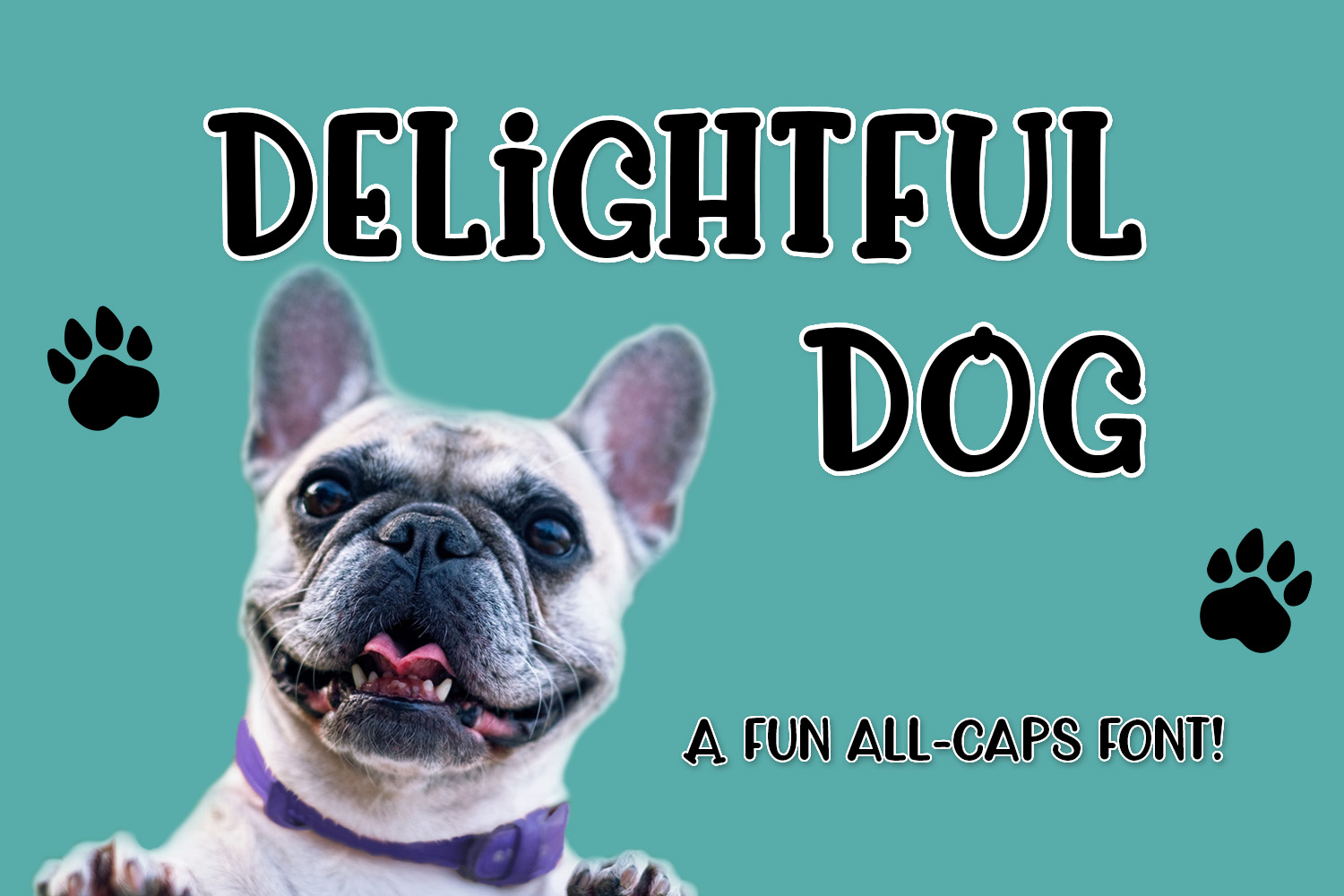 Delightful Dog Font Poster 1