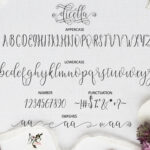 Dicella Font Poster 4