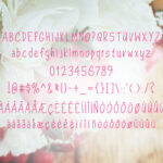 Dorathy Font Poster 5