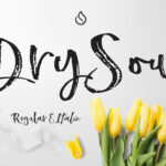 Dry Soul Font Poster 1