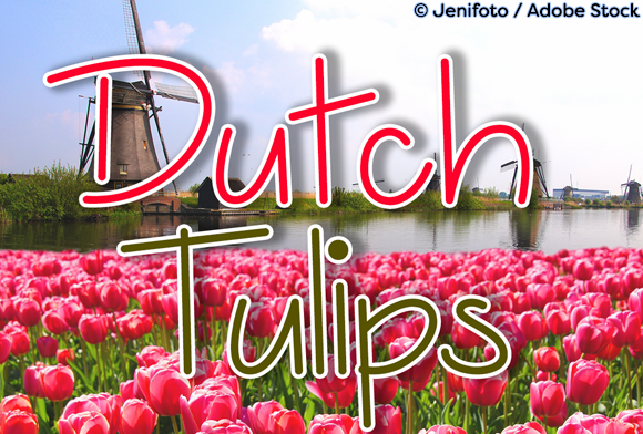Dutch Tulips Font Poster 1