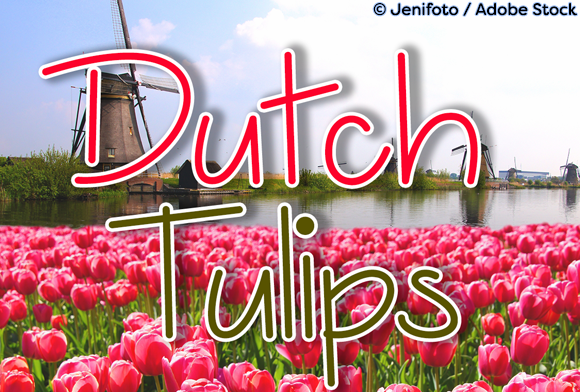 Dutch Tulips Font