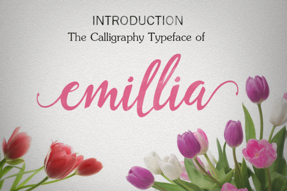 Emillia Script Font