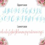 Everbest Font Poster 5