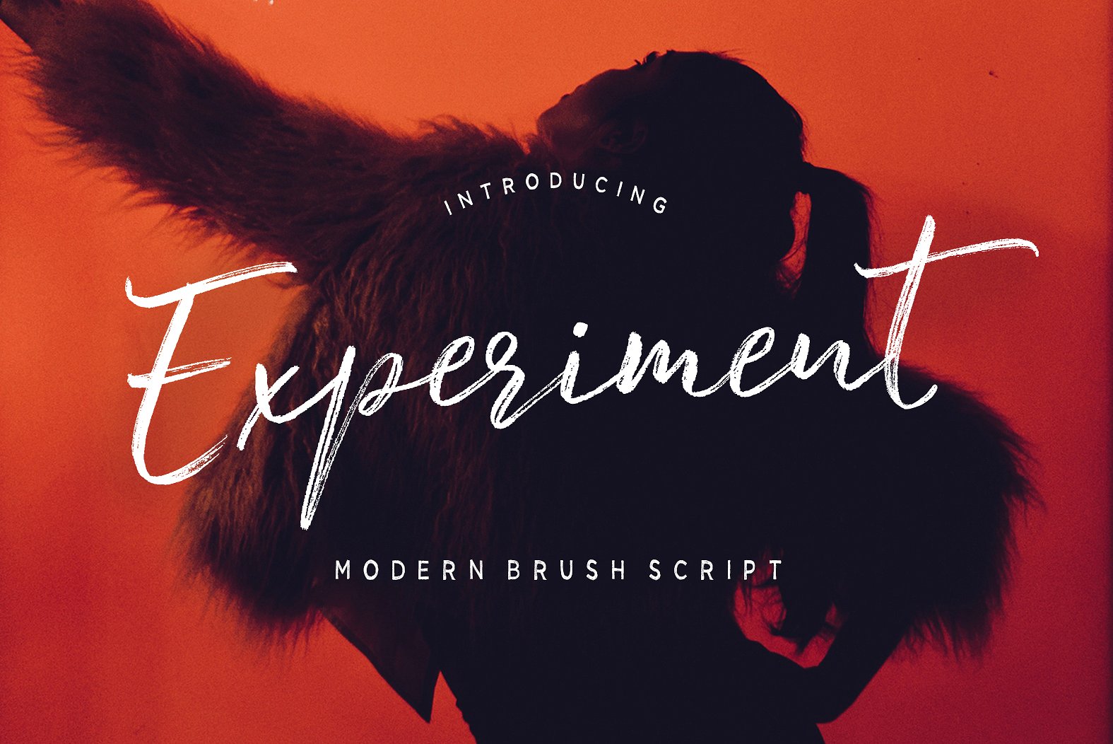 Experiment Brush Font Poster 1