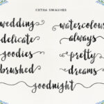 Fabulous Script Font Poster 4