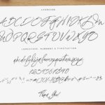 Fascinating Signature Font Poster 11