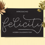 Felicity Font Poster 1