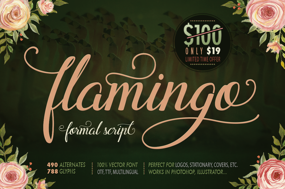 Flamingo Font Poster 1