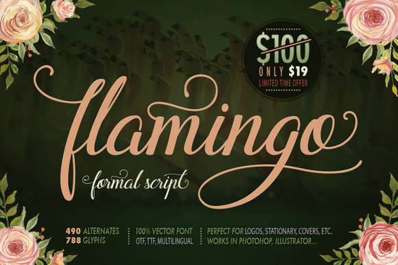 Flamingo Font Flamingo Font Poster 1