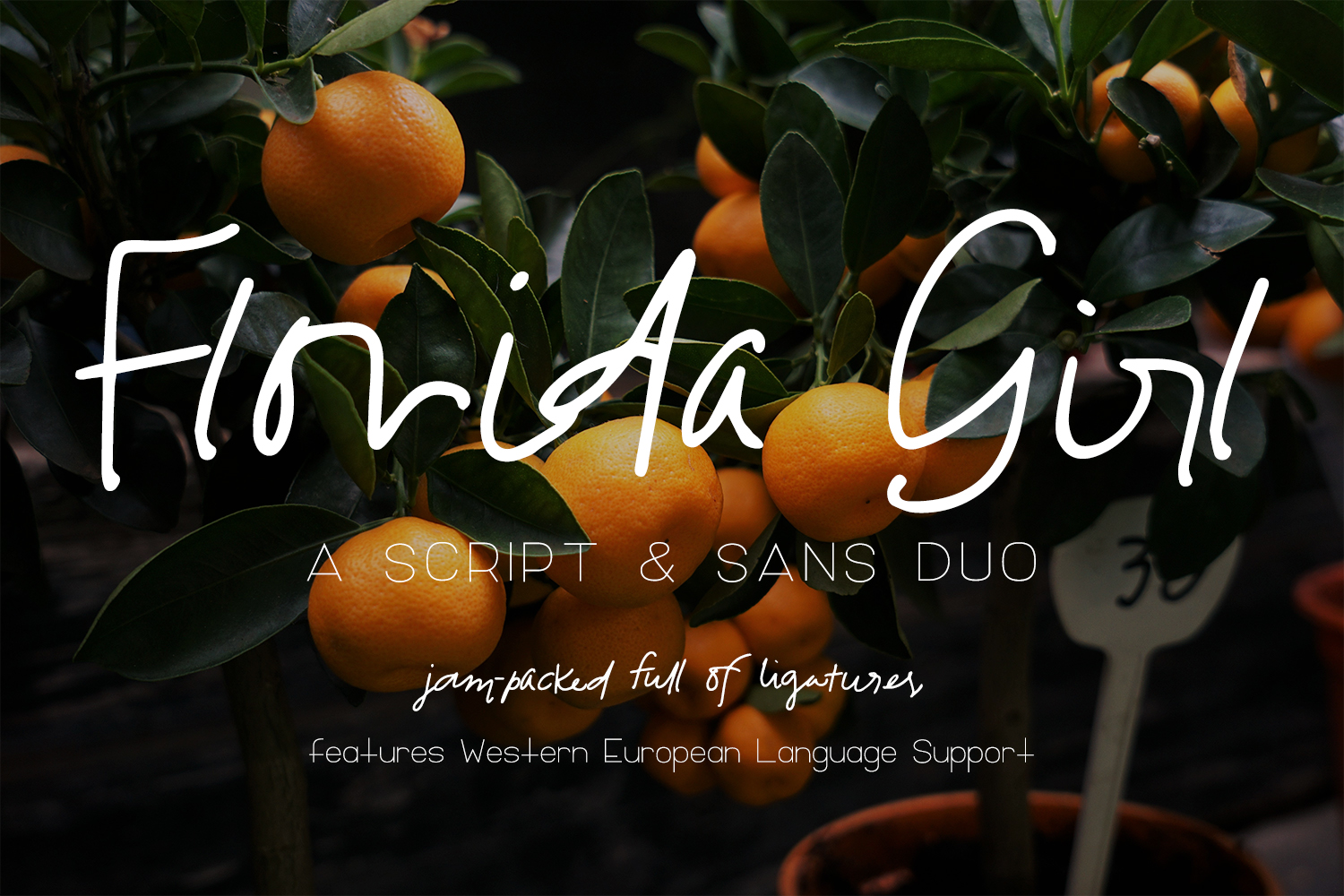 Florida Girl Script Font