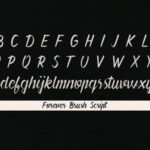 Forever Brush Script Font Poster 3