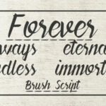 Forever Brush Script Font Poster 5