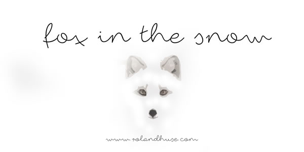 Fox in the Snow Font Poster 1