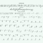 Galatia Script Font Poster 6