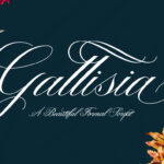 Gallisia Font Poster 1