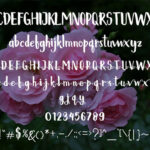 Happy Berry Font Poster 6