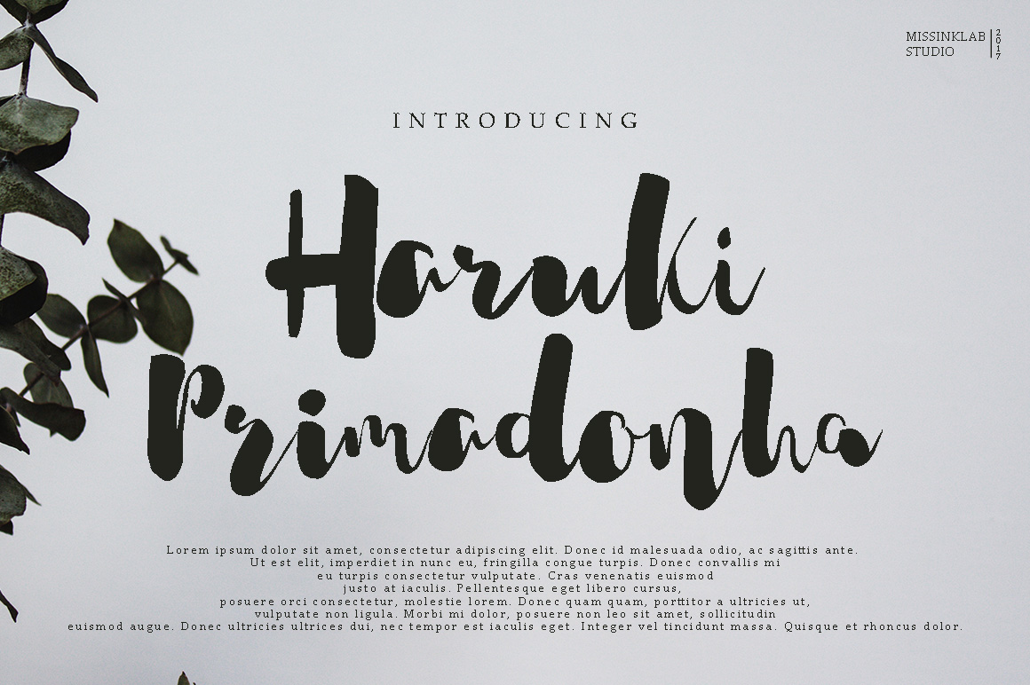 Haruki Primadonha Font