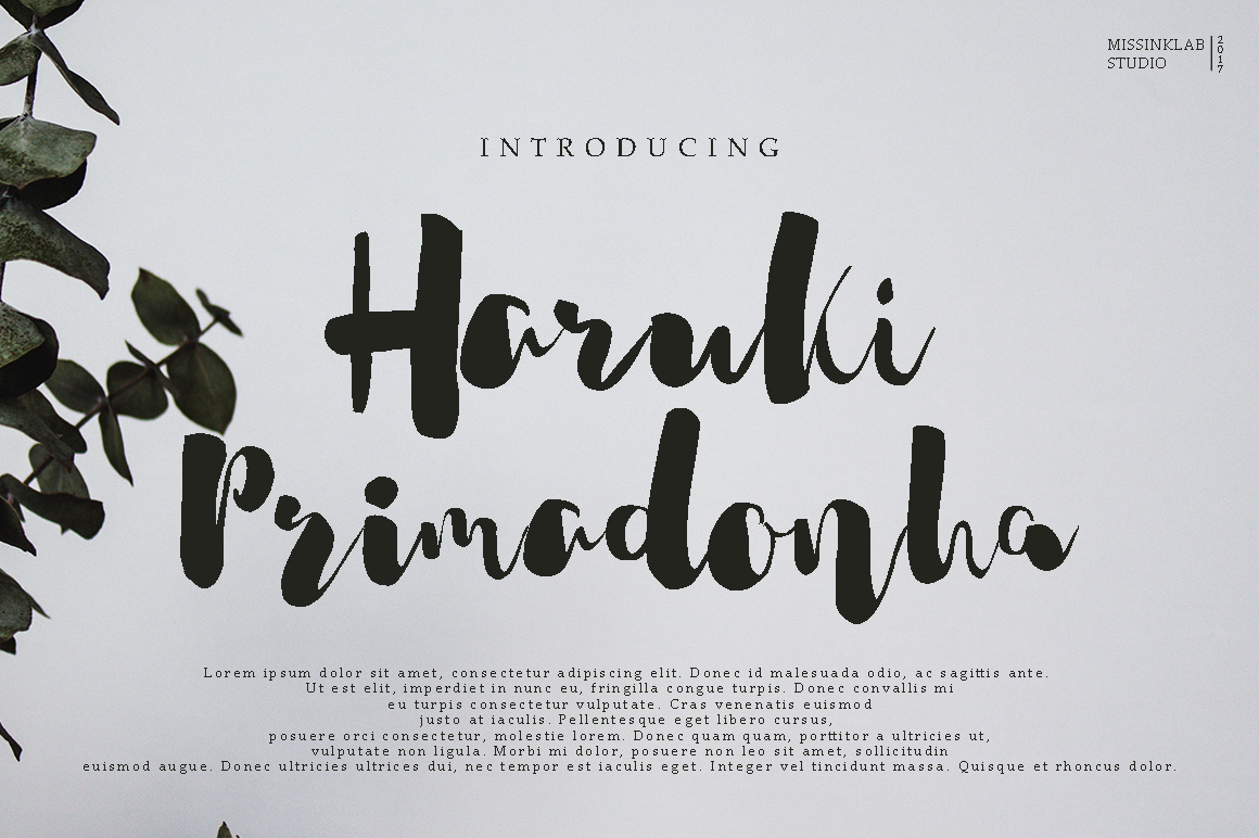 Haruki Primadonha Font Poster 1