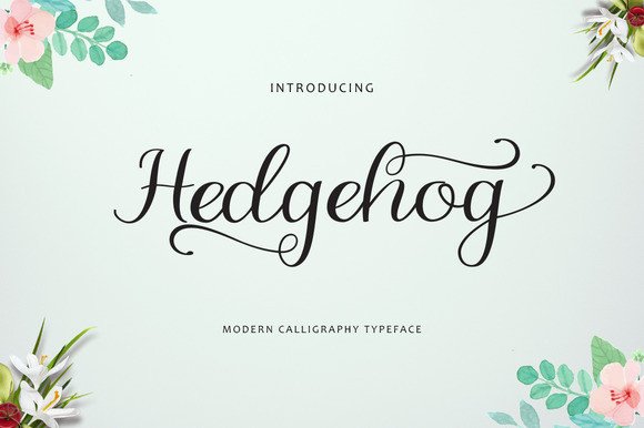 Hedgehog Font