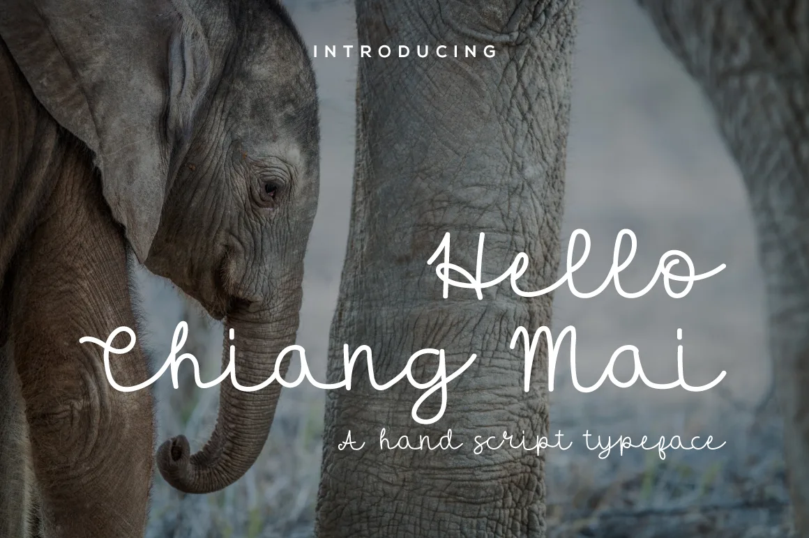 Hello Chiang Mai Font Hello Chiang Mai Font Poster 1