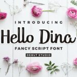 Hello Dina Font Poster 1