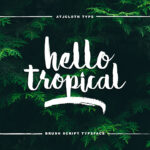Hello Tropical Font Poster 1