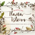 Ilana Bloom Font Poster 1