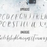 Indulgence Font Poster 10