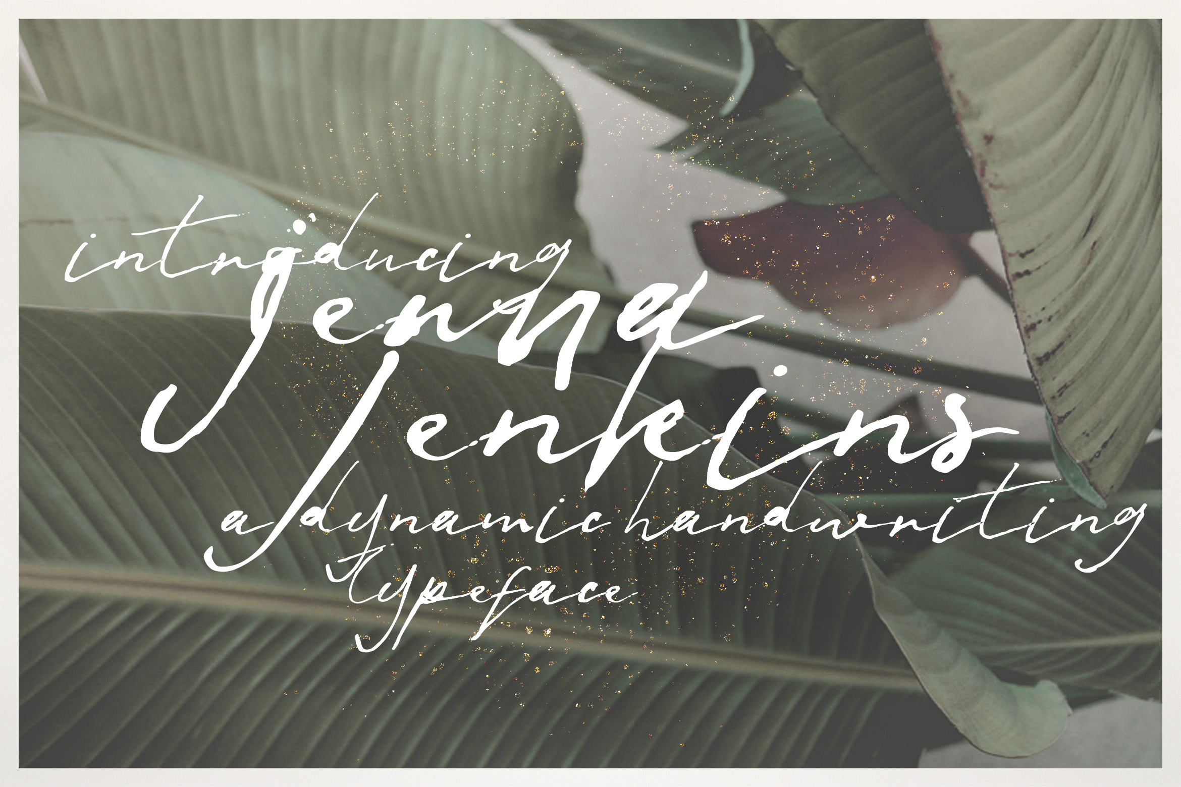 Jenna Jenkins Font