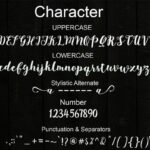 Joshan Brush Font Poster 7