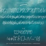 Joy Flight Font Poster 7