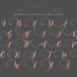 Justmine Font Poster 10