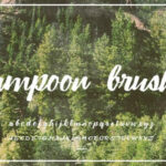Lampoon Brush Font Poster 2