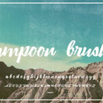 Lampoon Brush Font Poster 5