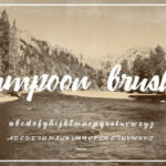 Lampoon Brush Font Poster 9