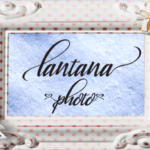 Lantana Font Poster 3